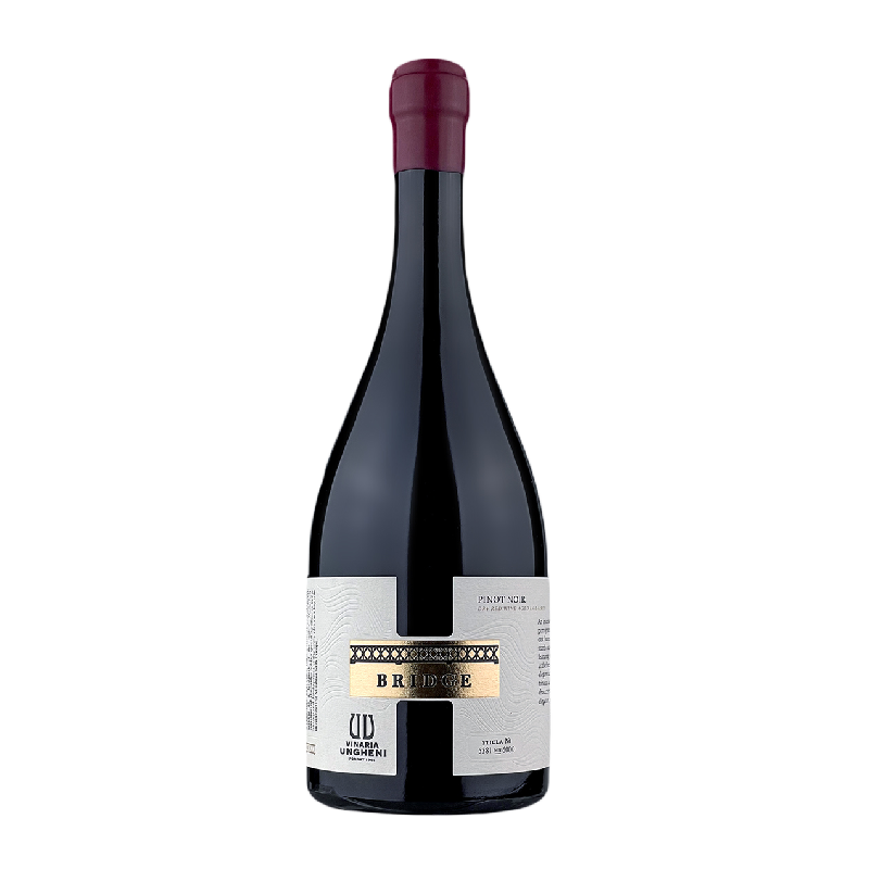 Vin rosu sec Pinot Noir st. Regina 0.75 L - winetime.md