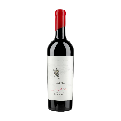 Vinaria Javgur Scena Pinot Noir 2019 13,5 % alc. Vol. Red dry wine 0.75 L - winetime.md
